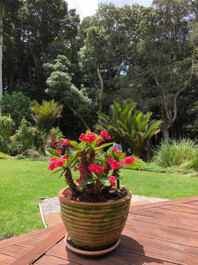 N.Z Country Home Whangarei Exteriör bild